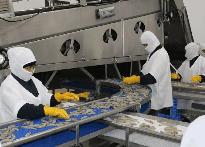 Workers in hygiene suits on the processing line